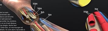 Graphiste 3D Freelance Médical, Technique et Scientifique
