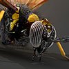 mud_dauber.jpg