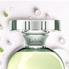 Gin Fizz de Lubin | Agence : Limbus