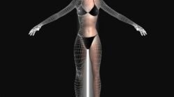 Modelisation de personnage