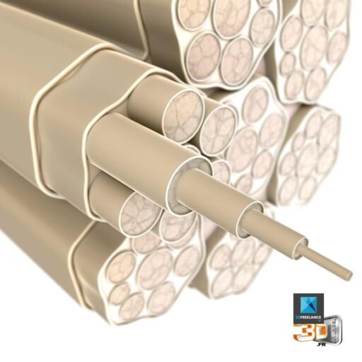 Écorché d'un nerf en 3D