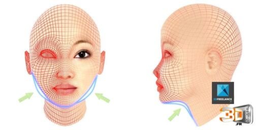 Illustrateur Médical | Crème Liftante Clarins