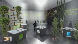 Espace de vente Lancome