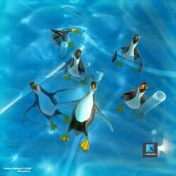 modélisation 3d pingouins en infographie 3d - freelance