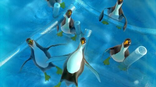 modélisation 3d pingouins en infographie 3d - freelance