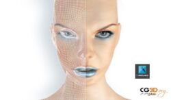 Visage en Wireframes / Fil de fer 3D