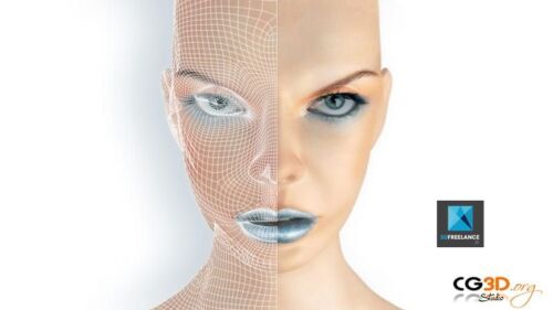 Visage en Wireframes / Fil de fer 3D