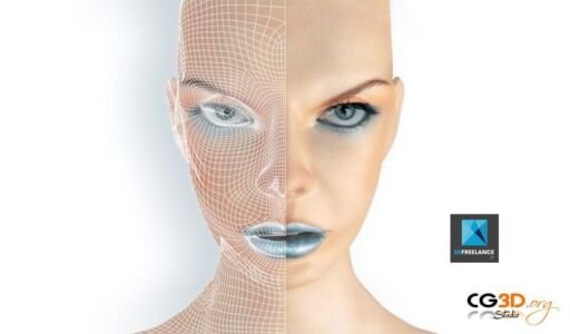 Visage en Wireframes / Fil de fer 3D