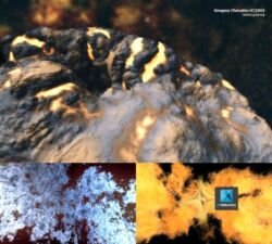 Client: Institut International du Multimédia