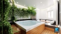 image 3d SPA