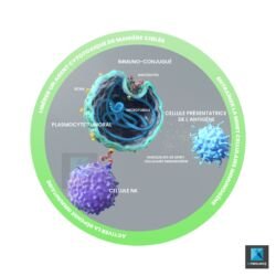 image 3d cellules - illustration médicale oncologie