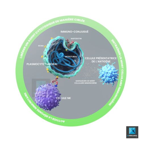 image 3d cellules - illustration médicale oncologie