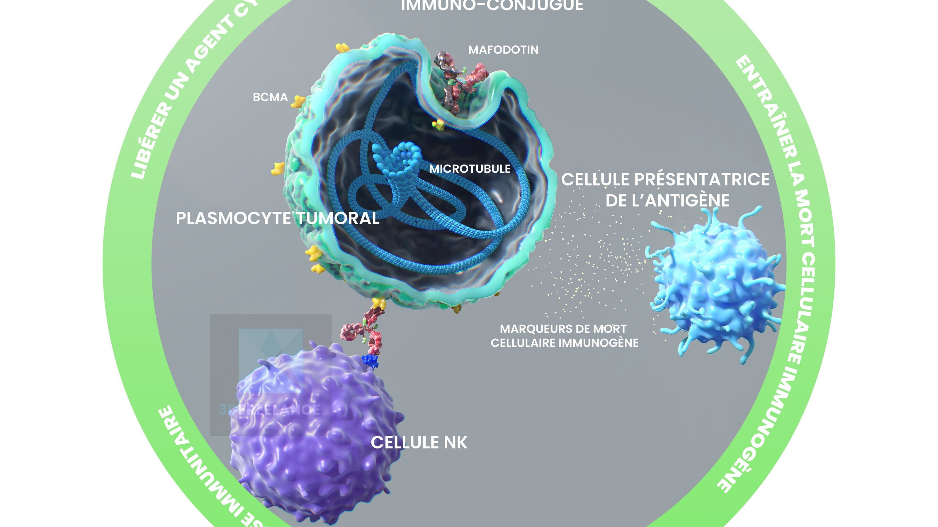 image 3d cellules - illustration médicale oncologie