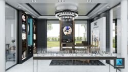 magasin boutique horlogerie moderne montres IWC