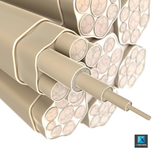 Déchirure Musculaire - image 3d médicale