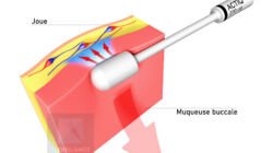 image médicale - mode d'action médicament pharmaceutique
