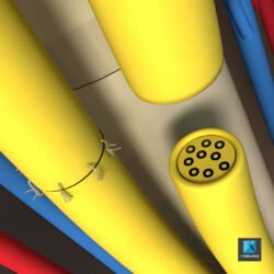 modélisation 3d suture de nerf