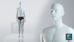 personnage 3d homme médical brochures