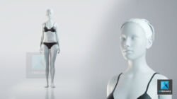 personnage 3d médical brochures femme