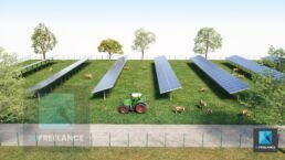 perspective 3d ferme agrivoltaïque