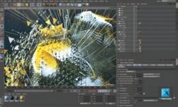 freelance cinema 4d