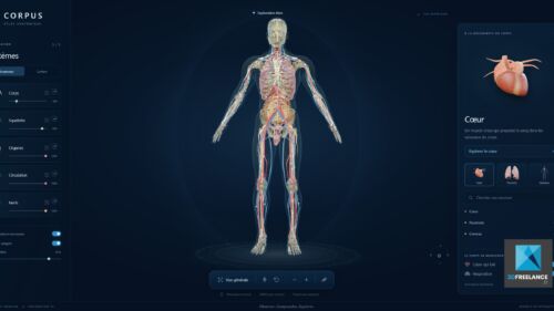 Application 3D interactive du corps humain et atlas anatomique développée en WebGL par un développeur 3D.